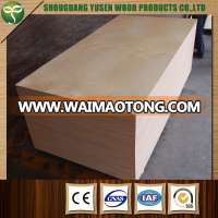 very good price and good quality poplar core commercial plywood for wholesaler